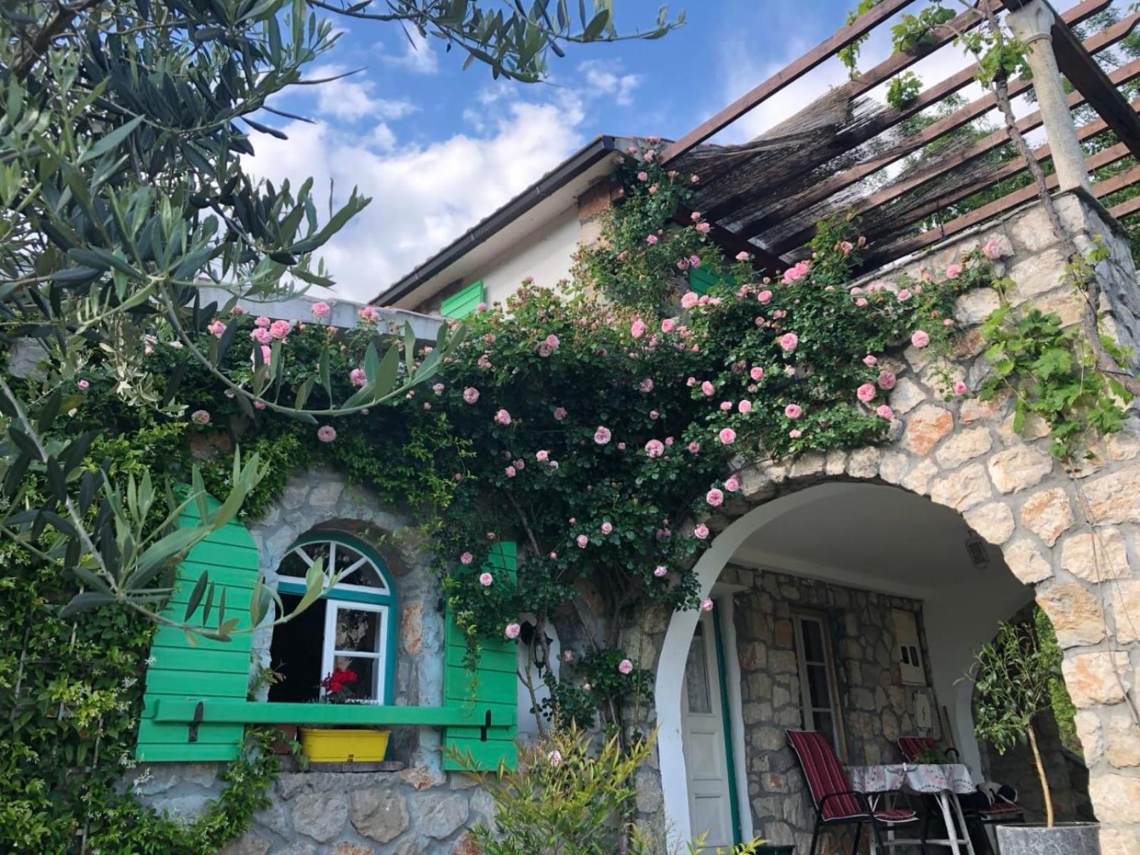 Lake House Puro Dodosi Dış mekan fotoğraf