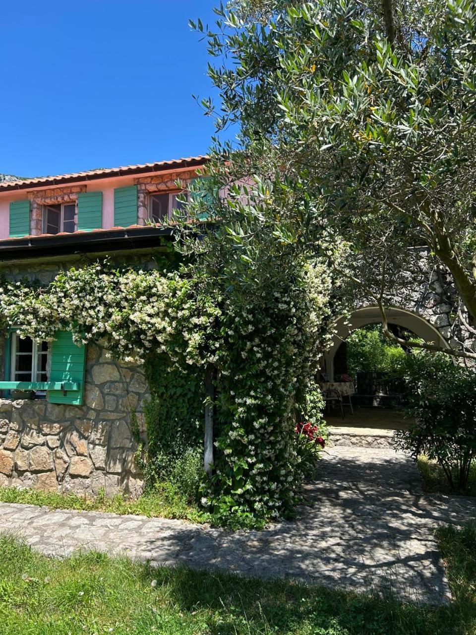 Lake House Puro Dodosi Dış mekan fotoğraf